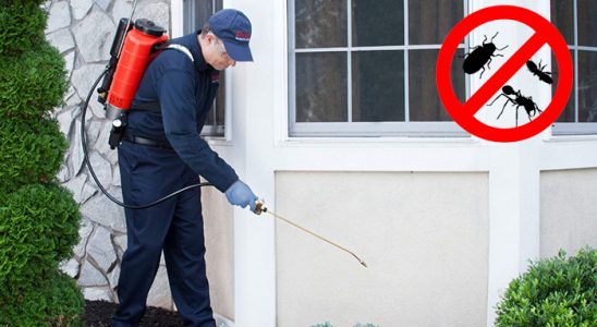 Arpaçay Dezenfeksiyon böcek ilaçlama ve haşere kontrolü — ilaclama-tr.com